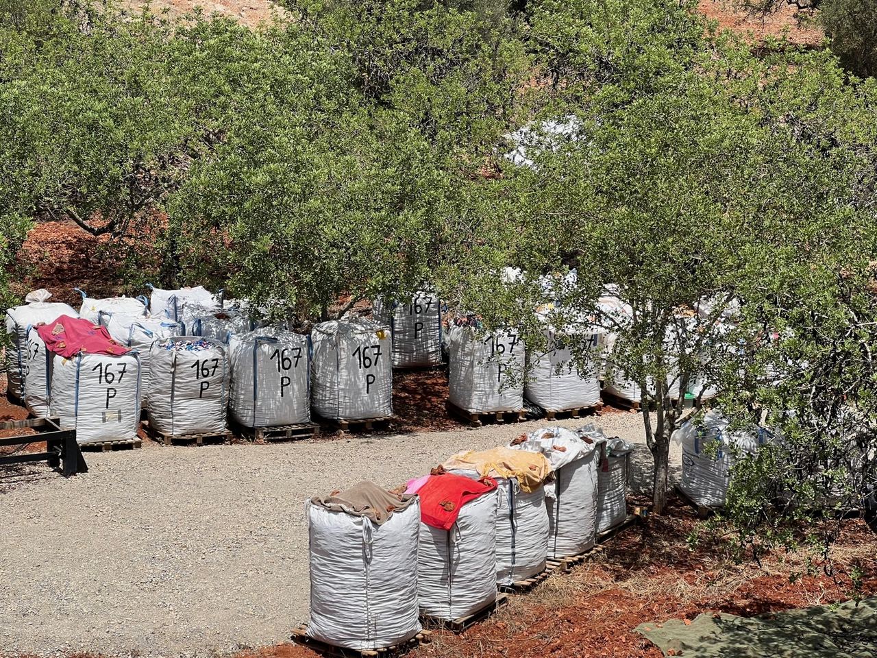 Vários BigBags brancos cheios de tampas, marcados à mão com 167 P, entre árvores em terra vermelha